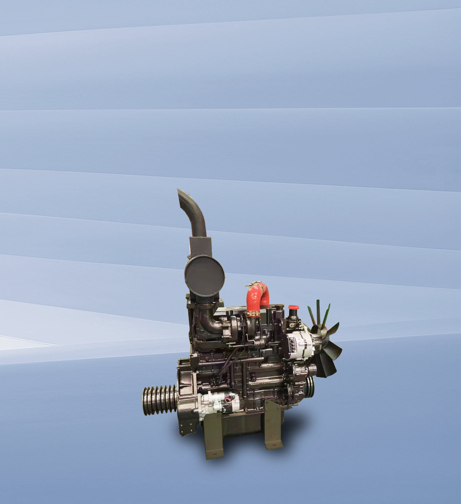 img15 of cate in cate