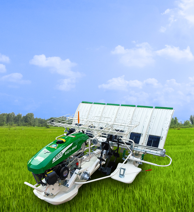 img2 of cate in cate