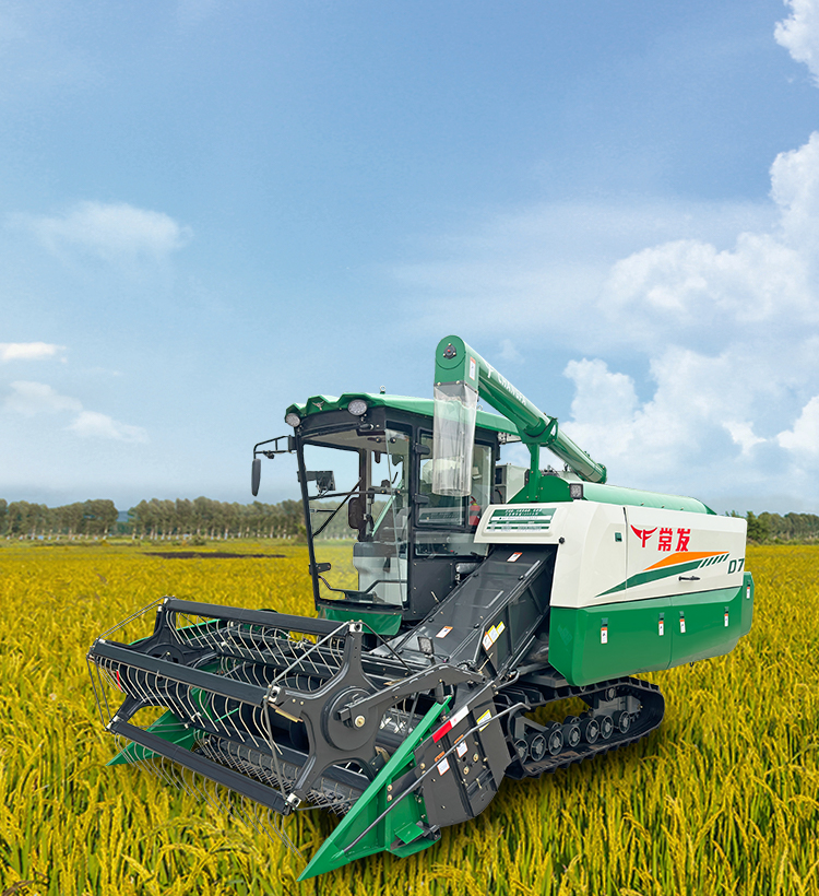 img1 of cate in cate